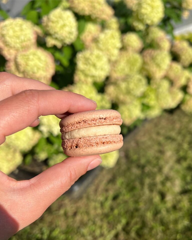 Macaron en nature